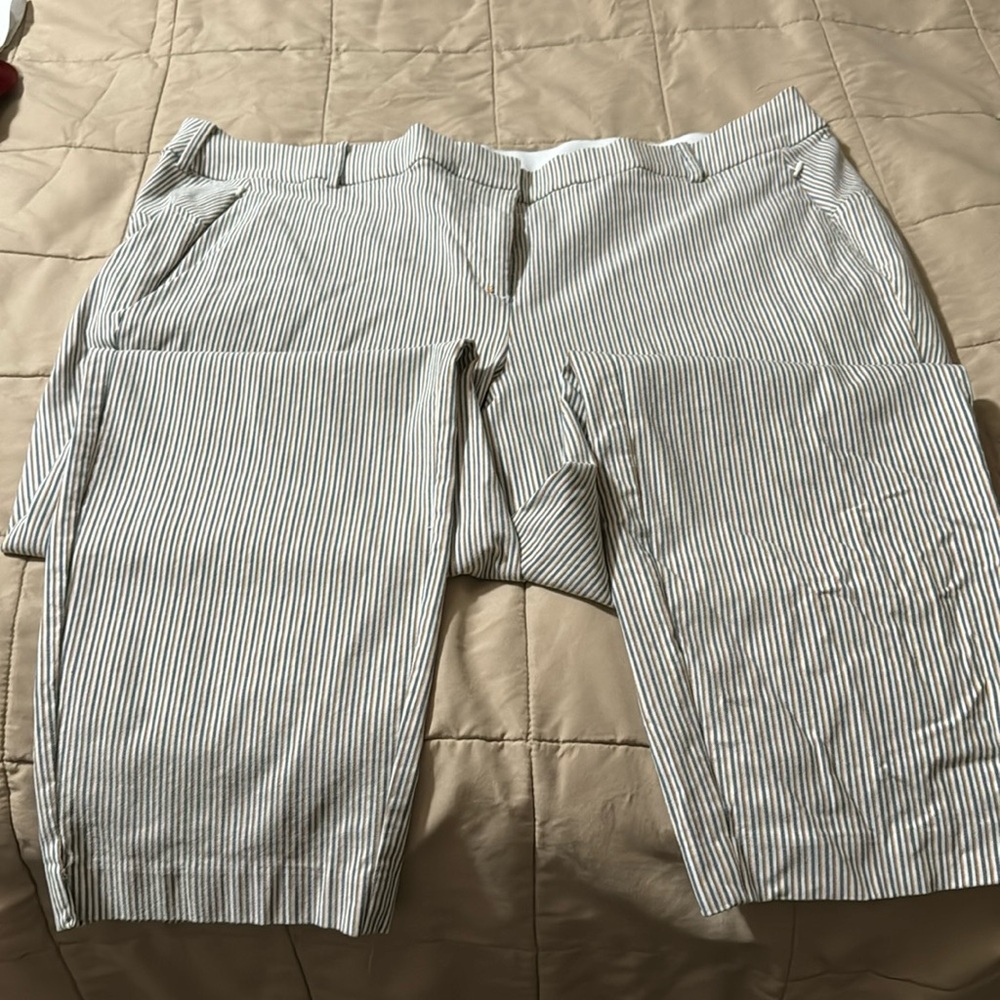 Pin stipe dress pants colors gold, blue and white.